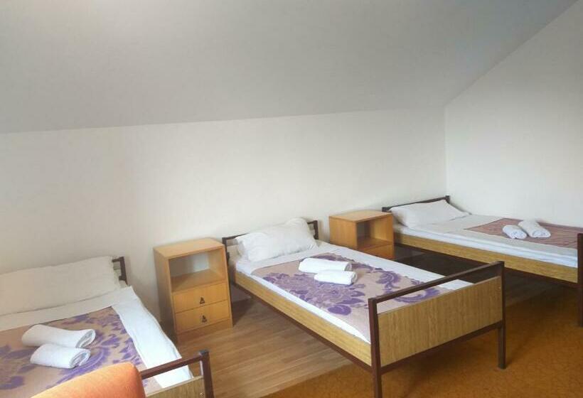 트리플 클래식 룸, Hostel Vera   Airport Podgorica