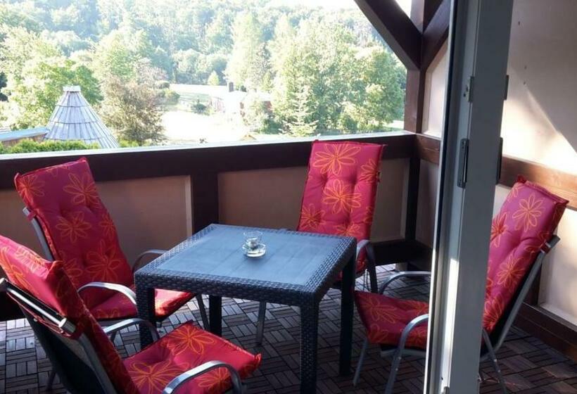 带阳台的豪华间, Harz Pension