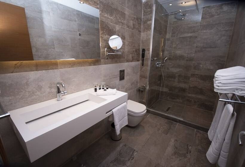 Номер Стандарт Трехместный, Rodina Hotel Spa & Conferences