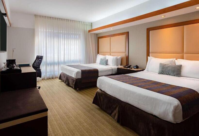 اتاق استاندارد, Sonesta Hotel El Olivar