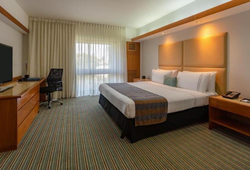 اتاق استاندارد, Sonesta Hotel El Olivar