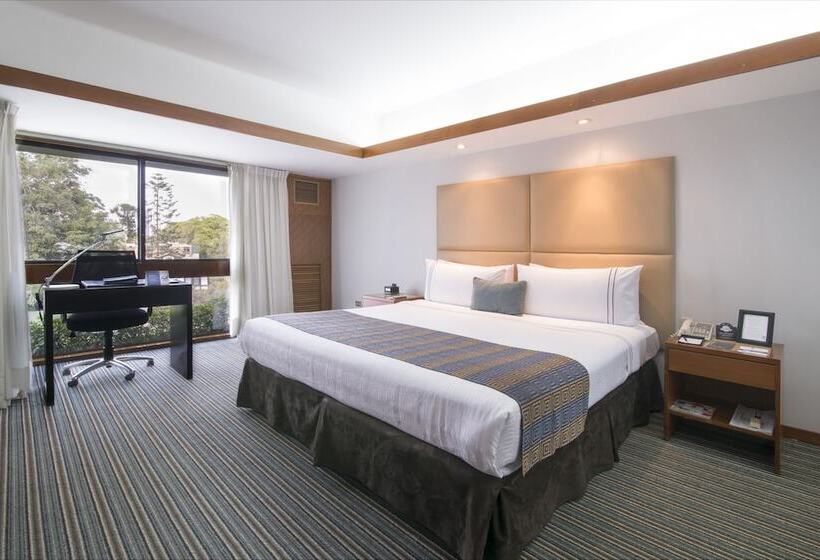 اتاق استاندارد, Sonesta Hotel El Olivar