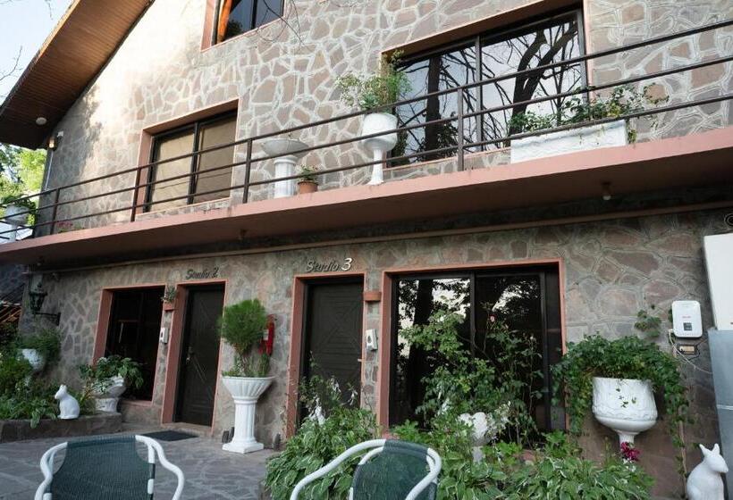 استودیوی استاندارد, Maisonette Firhill Resort