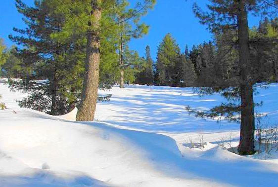 سوئیت پرزیدنت, Maisonette Firhill Resort