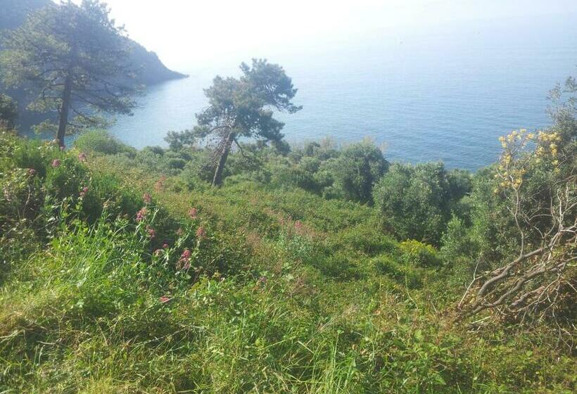 غرفة قياسية, Apartment Camere Cinque Terre Andrea