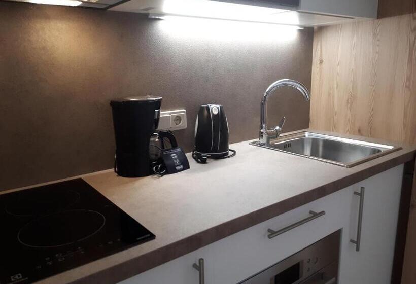 آپارتمان 1 خوابه با چشم‌انداز, Residence Viktoria