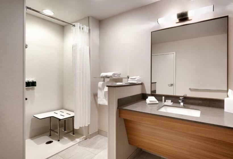 Люкс Кровать Кинг, Fairfield Inn & Suites By Marriott Virgin Zion National Park