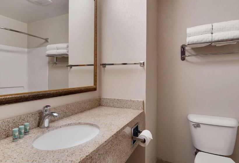 Номер Deluxe, Best Western Executive Inn   Latta
