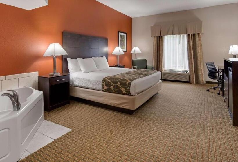 Номер Стандарт Кровать Кинг Адаптированный для Инвалидов, Best Western Executive Inn   Latta