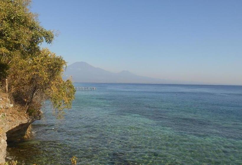 Номер Deluxe Вид на Сад, Taman Menjangan Homestay By Snorkelingmenjangan