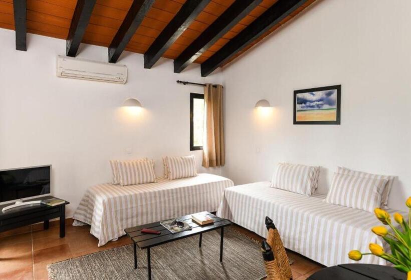 استودیوی استاندارد, Pedras D El Rei