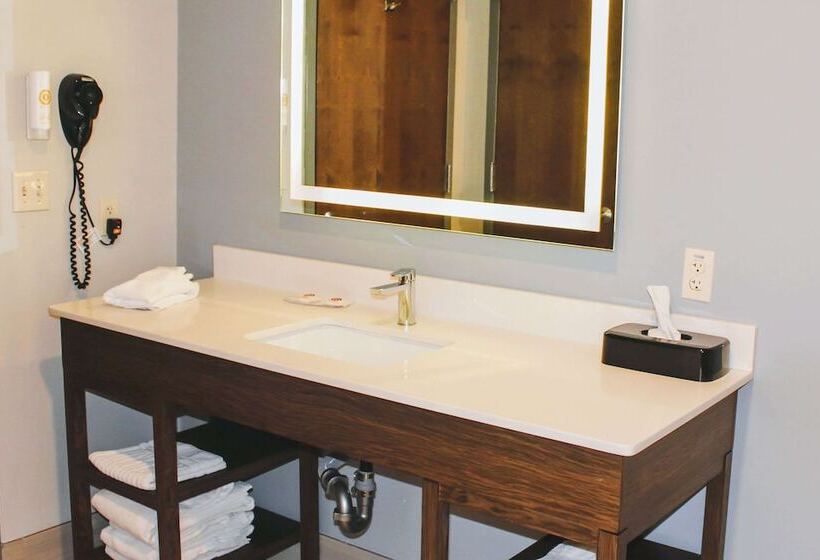 장애인을 위한 스위트, Comfort Inn & Suites Near Lake Guntersville