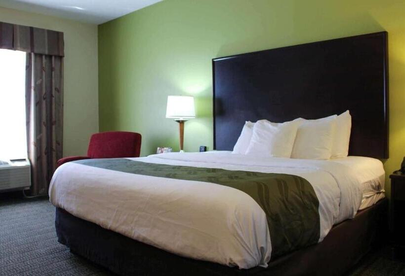 Стандартный Номер Кровать Кинг, Quality Inn