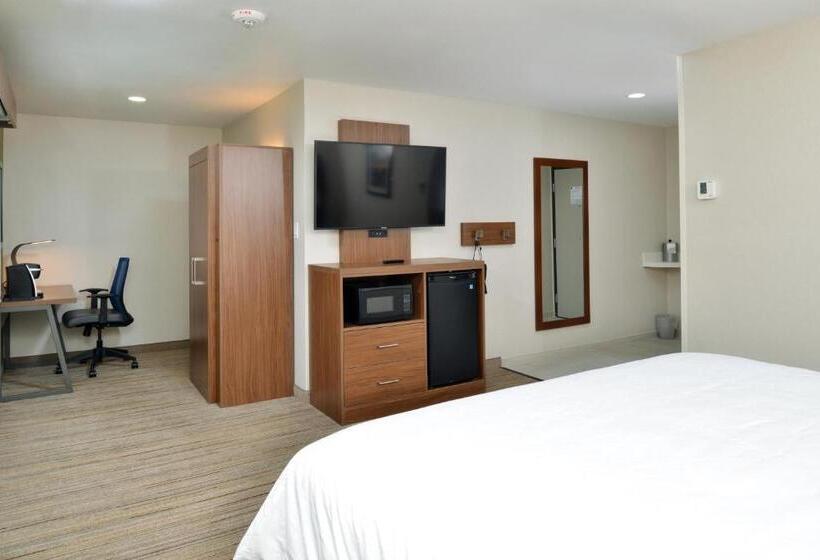 장애인을 위한 킹사이즈 침대 스탠다드 룸, Holiday Inn Express   Santa Rosa North, An Ihg