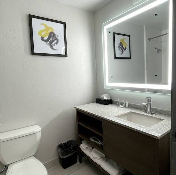 스위트, Comfort Suites Denver North   Westminster