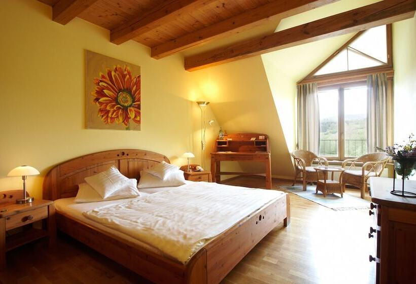 Номер Superior Одноместный, Seehotel Gut Dürnhof
