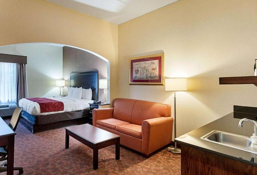 سوئیت با تخت بزرگ, Comfort Suites Dulles Airport