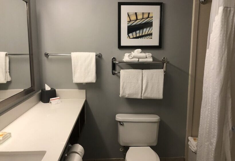 Номер Стандарт Двуспальная Кровать, Holiday Inn   St Augustine   World Golf, An Ihg