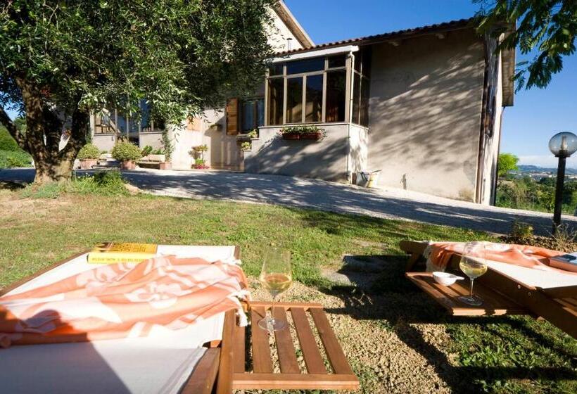 Номер Стандарт, Abbadia 14