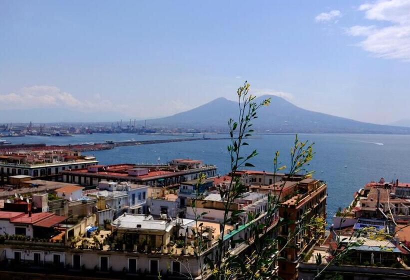 اتاق راحتی سه تخته, Spira Mirabilis Napoli