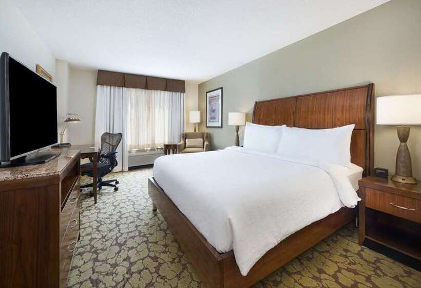 اتاق استاندارد با تخت بزرگ, Hilton Cologne