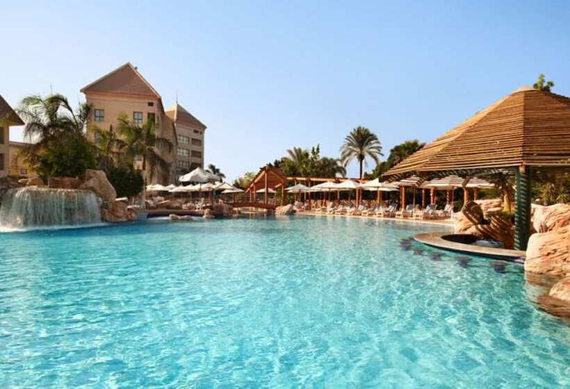 غرفة قياسية, Hilton Pyramids Golf