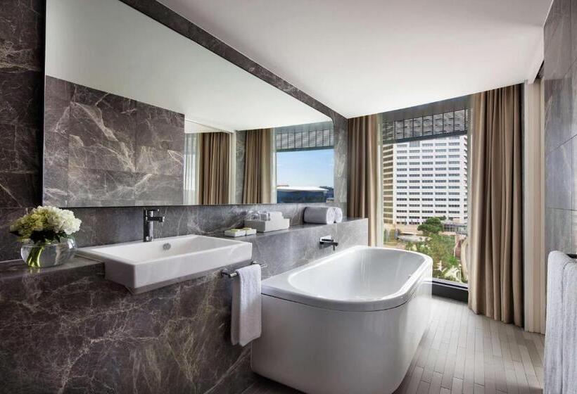 Студио Стандарт с Видом, Hyatt Regency Sydney