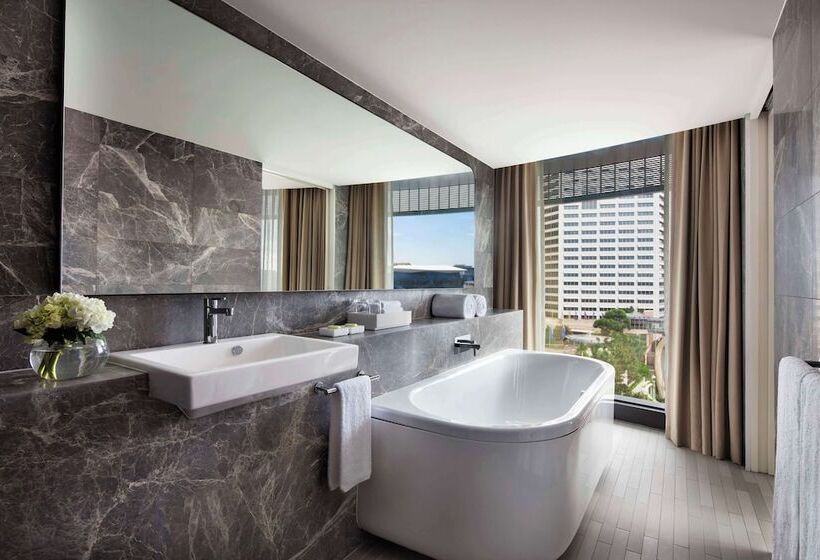 Студио Стандарт с Видом, Hyatt Regency Sydney