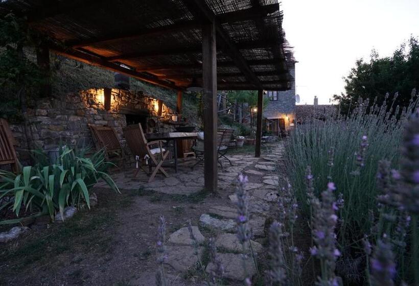 スタンダードルーム, Agriturismo La Colombella