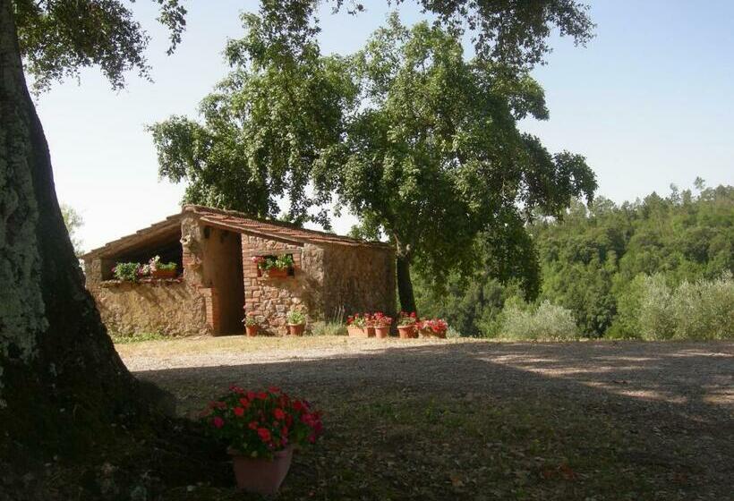 Апартаменты 1 Спальня с Видом, Agriturismo Poggio Macinaio