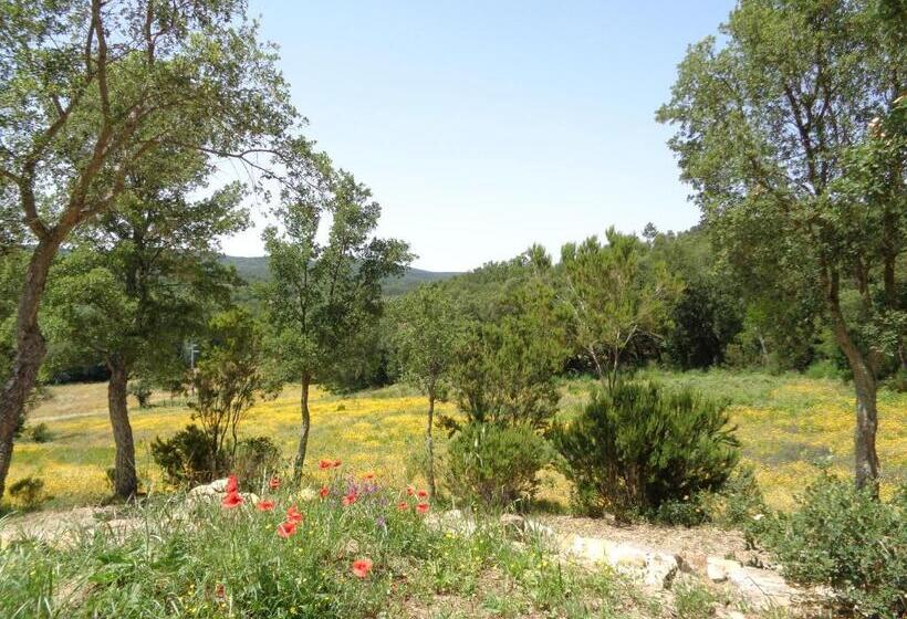 Апартаменты 1 Спальня с Видом, Agriturismo Poggio Macinaio