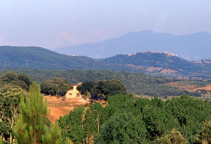Апартаменты 1 Спальня с Видом, Agriturismo Poggio Macinaio