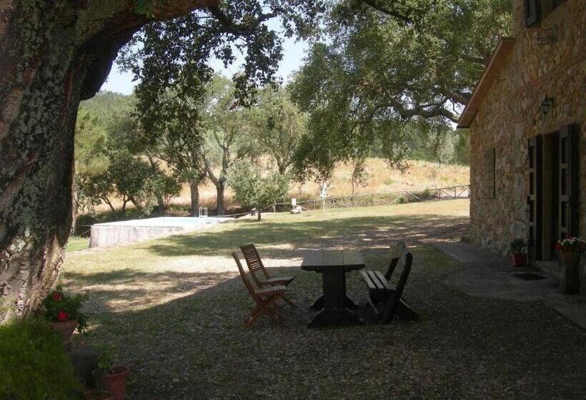 Апартаменты 2 Спальни, Agriturismo Poggio Macinaio