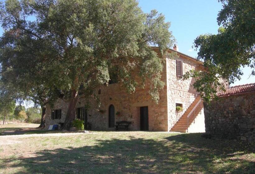 Апартаменты 2 Спальни, Agriturismo Poggio Macinaio