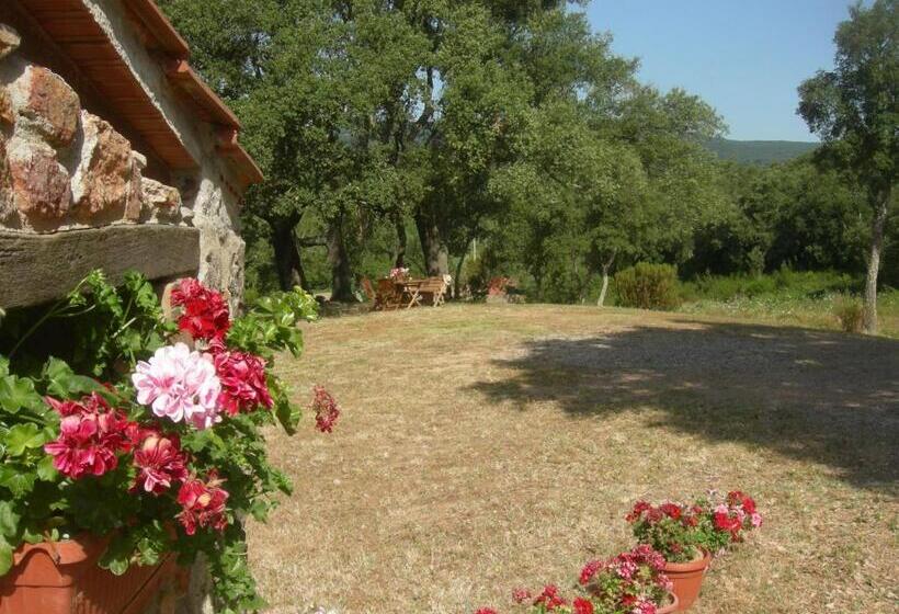 Апартаменты 1 Спальня Вид на Бассейн, Agriturismo Poggio Macinaio