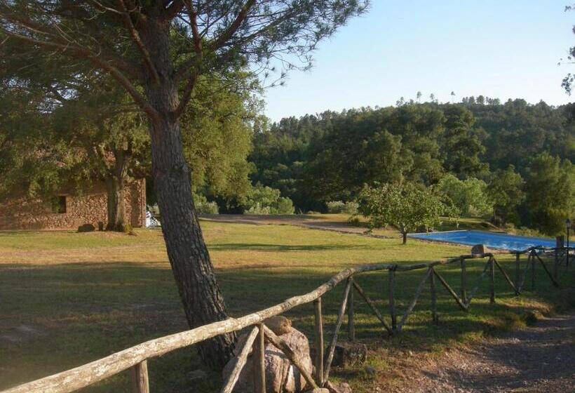 Апартаменты 1 Спальня Вид на Бассейн, Agriturismo Poggio Macinaio