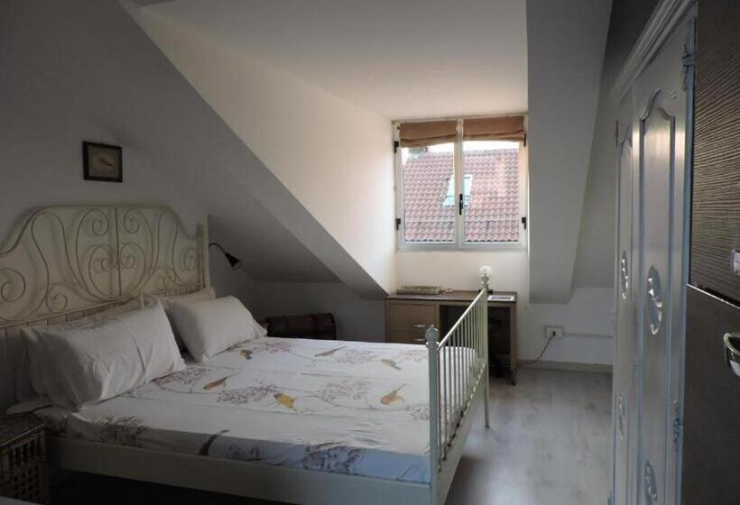 استودیو استاندارد با بالکن, Residenze Torinesi