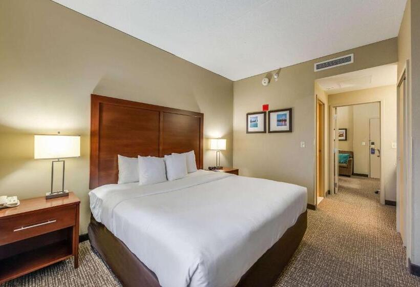 Suite Letto King, Comfort Suites Chicago O Hare Airport