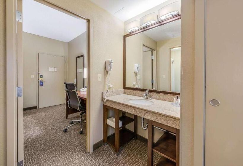 Suite, Comfort Suites Chicago O Hare Airport