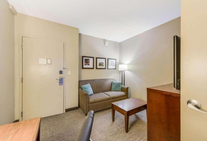 Suite, Comfort Suites Chicago O Hare Airport