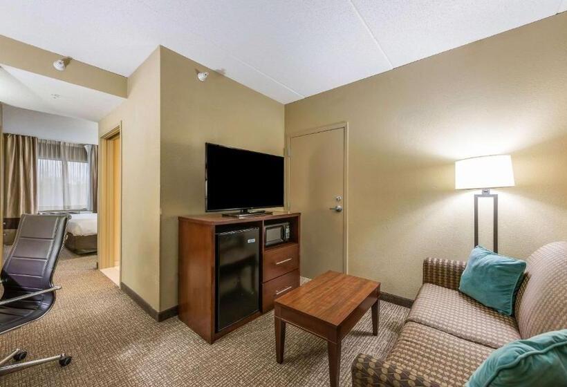 Suite Accessibile ai persone con mobilità ridotta, Comfort Suites Chicago O Hare Airport