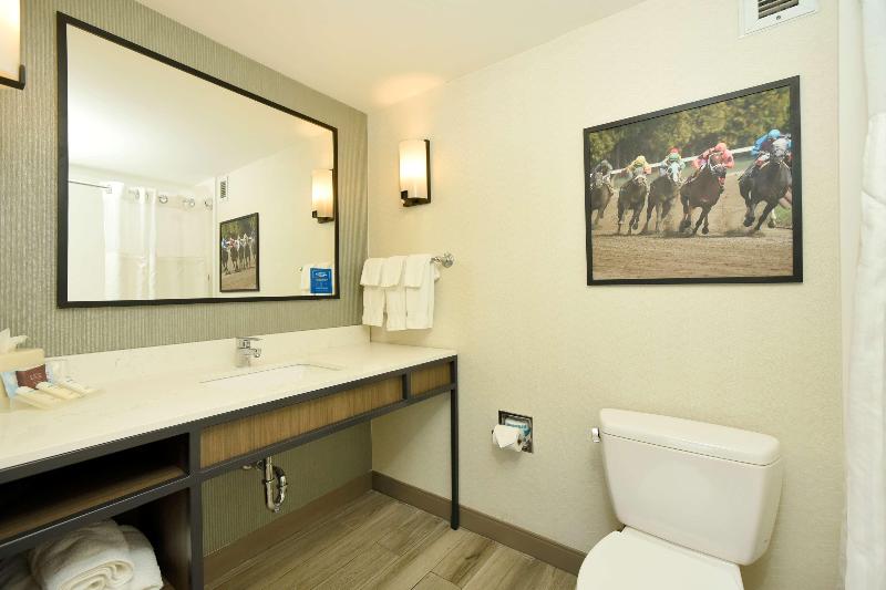 Номер Стандарт, Hilton Garden Inn Saratoga Springs