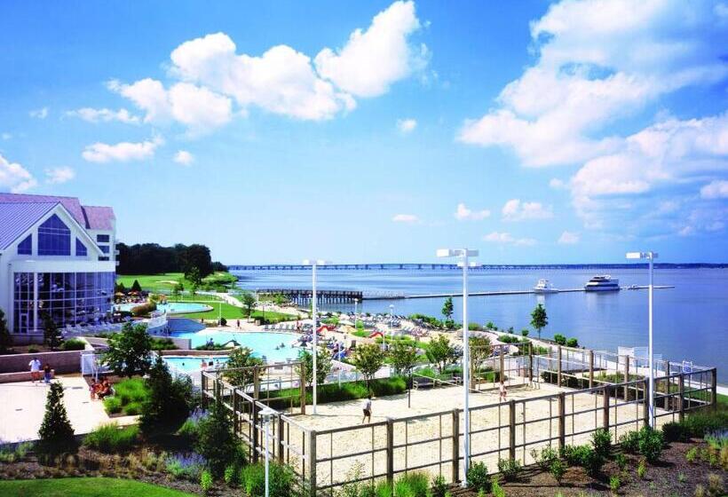 シングルデラックスルーム, Hyatt Regency Chesapeake Bay Golf Resort, Spa & Marina