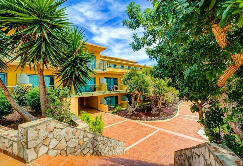 Номер Стандарт, Sbh Club Paraiso Playa