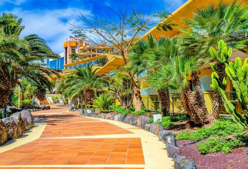 Номер Стандарт Индивидуальный, Sbh Club Paraiso Playa