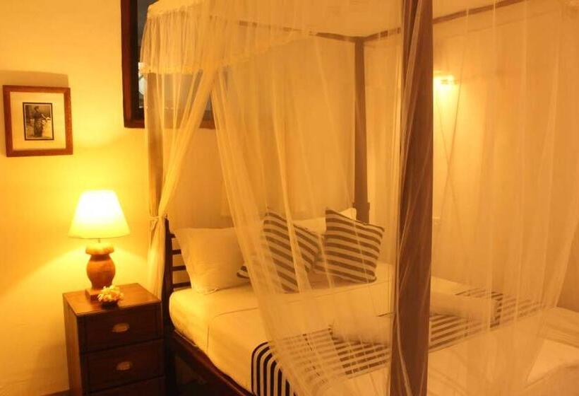 标准间, Pedlar 62 Guest House