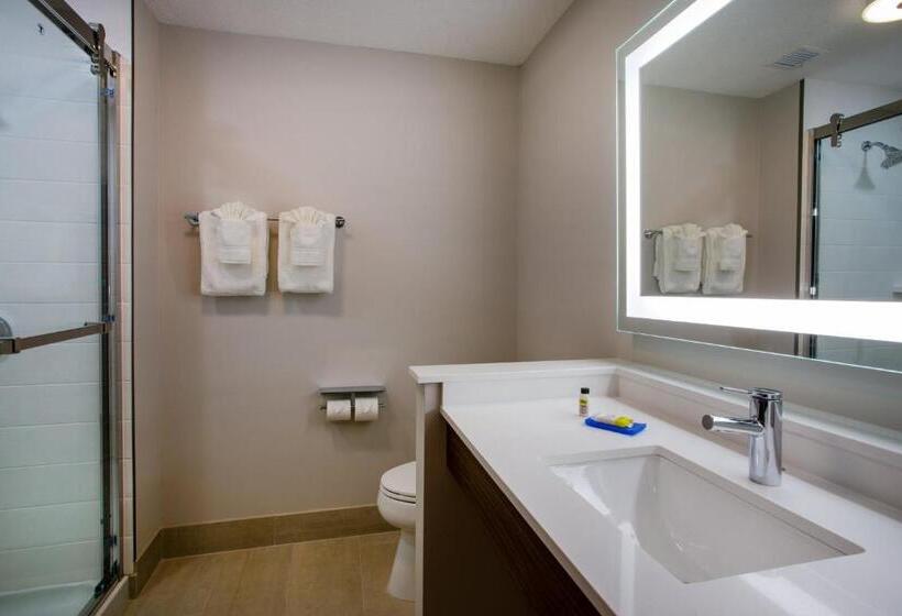 스위트 킹사이즈 침대, Holiday Inn Express & Suites   Deland South, An Ihg