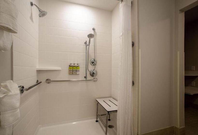 장애인을 위한 킹사이즈 침대 스탠다드 룸, Holiday Inn Express & Suites   Deland South, An Ihg