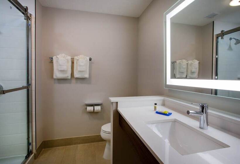 스위트, Holiday Inn Express & Suites   Deland South, An Ihg