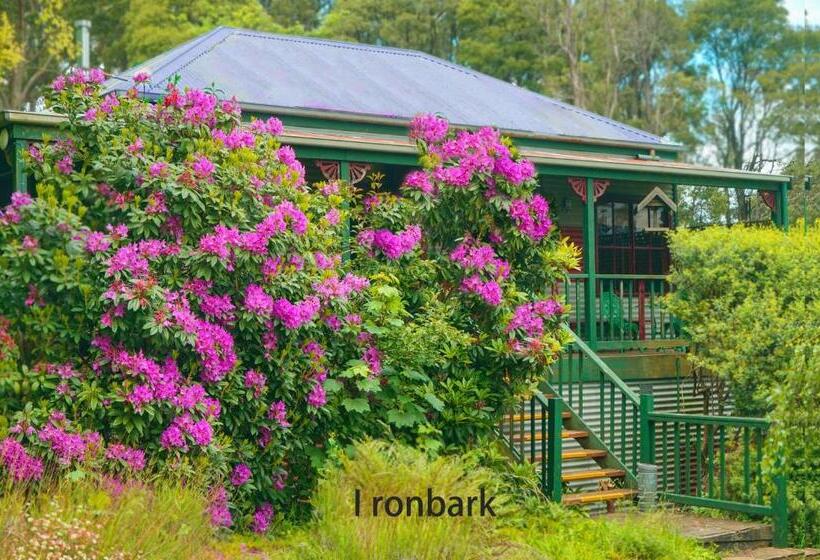 کابین, Observatory Cottages